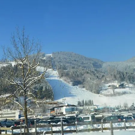 Alpine *