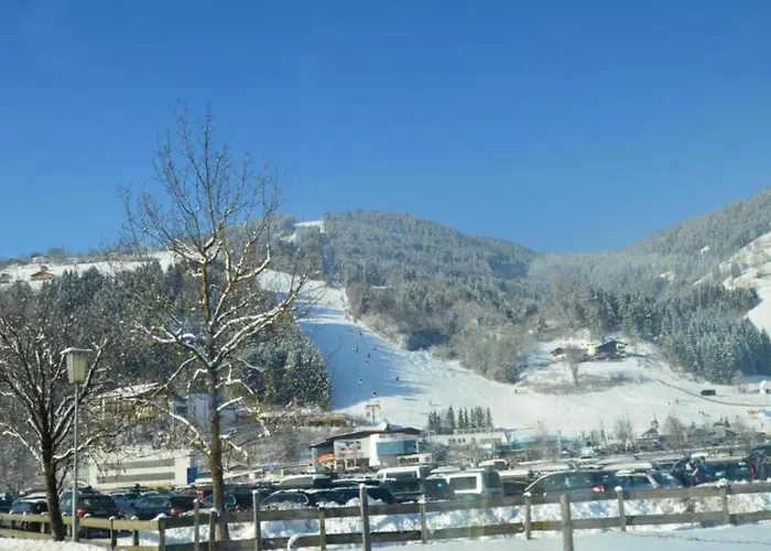 Alpine *