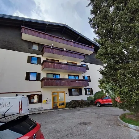 Alpine زيل أم سي